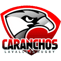 Rugbyteam Sticker by Caranchos Rugby