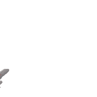Flag Plane Sticker