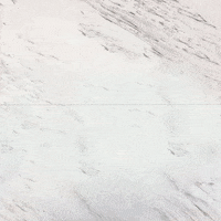 journaling express yourself GIF by Sharpie