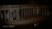 Party Film GIF by Kino Lorber