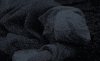 horror GIF by The Witch