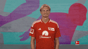 Union Berlin Football GIF by Bundesliga