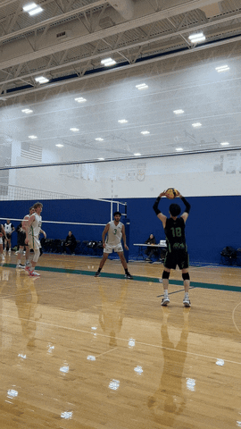 Volleyball Apex GIF by Easy Daysies