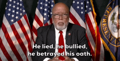 Jan 6 Hearing GIF by GIPHY News