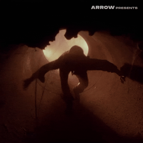 Texas Chainsaw Massacre Film GIF by Arrow Video