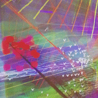 GeneticMoo processing generativeart creativecoding codeart GIF