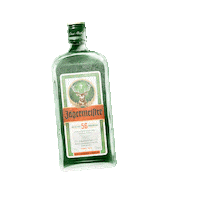 ice cold cheers Sticker by Jägermeister CZ