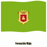 Flag Spain GIF by Formación Ninja