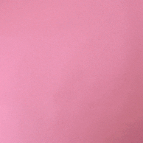 jackieland giphyupload pink whatever gif artist GIF