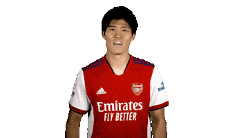 Football Celebrate Sticker by Arsenal