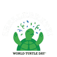 Tortoise Sticker by World Turtle Day