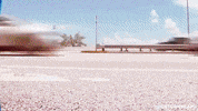 historymiami miami history museum traffic GIF