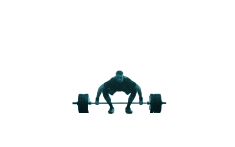 Power Crossfit Sticker by HSN Mentoring - Grow Your Nutrition Business