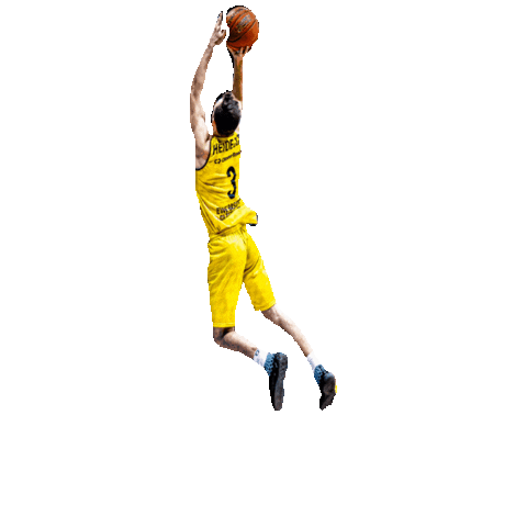 March Madness Sticker by EWE Baskets Oldenburg