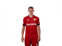 Bayer 04 Peace GIF by Bayer 04 Leverkusen