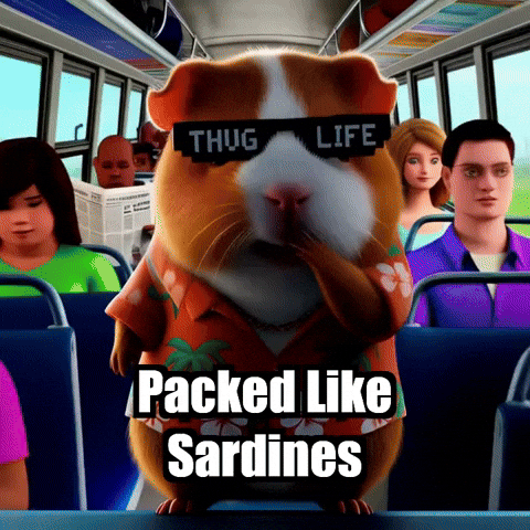 Commute Rushhour GIF by Guinea Gambino