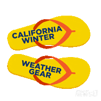 Flipflop La Winter Sticker by Spectrum News NY1
