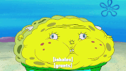 season 10 episode 6 GIF by SpongeBob SquarePants
