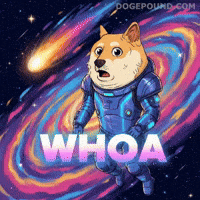 Dog Wow GIF by Doge Pound