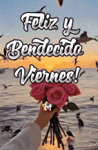 Sol Playa GIF by Murcianys LLC