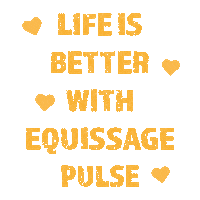 Life Horse Sticker by Niagara Equissage Pulse