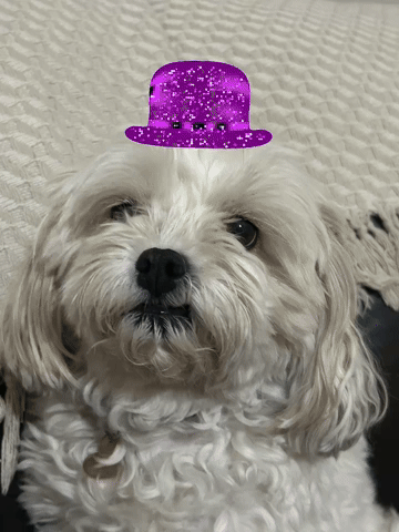 cubey9000 giphyattribution giphycreatortest GIF