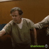 Season 10 Showtime GIF by Shameless