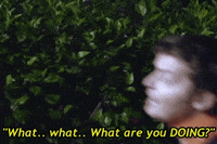 sassy gay friend what are u doing GIF