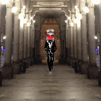 I Am Here Aquarium GIF by Komplex