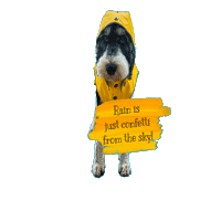 Cockapoo Sticker