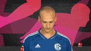 Schalke S04 GIF by Bundesliga