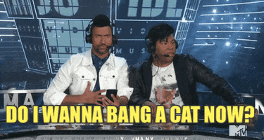Key And Peele Do I Wanna Bang A Cat Now GIF by 2023 MTV Video Music Awards