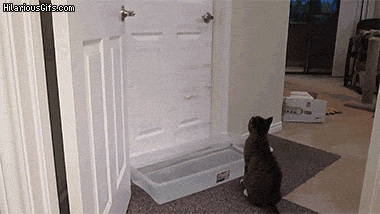 door GIF