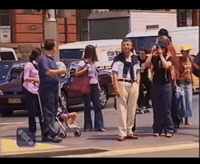 Bam Margera Skateboard 411 Vm Element GIF by Brett A Mauri