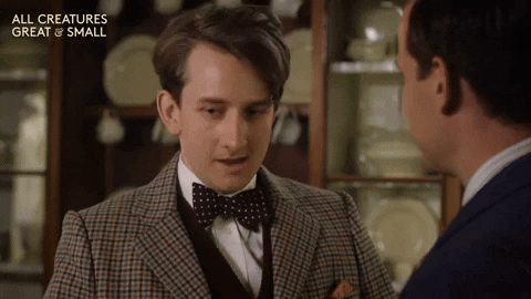 Domybest GIF by All Creatures Great And Small