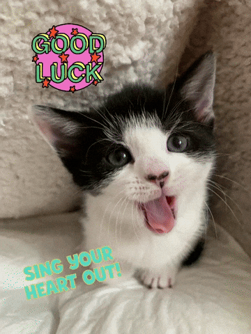 Sing Your Heart Out Good Luck GIF