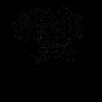 FreeTreeOpenair free tree free tree festival free tree open air freetreeopenair GIF