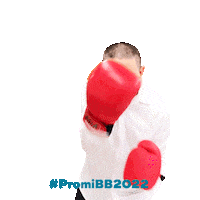 Promibb Promibigbrother Sticker by sat1