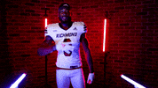8 GIF by Richmond Spiders