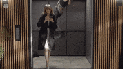 Baroness Von Sketch Show Cbc GIF