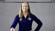 NevadaWolfPack swim dive wolfpack nevada GIF