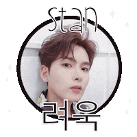 Super Junior Korea Sticker