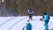 Paralympic Games GIF by International Paralympic Committee