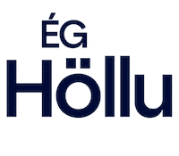 hallatomasdottir kata halla baldur kosningar GIF