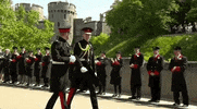 Prince Harry GIF by BBC