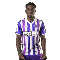 Tor Osna Sticker by VfLOsnabrueck