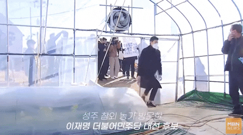 seotor_7 giphyupload GIF