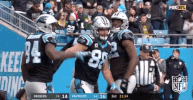 carolina panthers football GIF by NFL