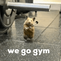 Go Work Out GIF