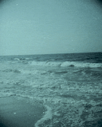 GIF by Liaizon Wakest